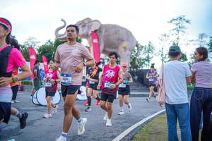 BIB: 
                            <button type="button" onclick="openModal(26551665)" class="btn btn-primary btn-sm float-right btn-popup" data-toggle="modal" data-target=".modal-high-quality">
                        <i class="fas fa-shopping-cart"></i> Add to Cart
                    </button>
                                            <button type="button" onclick="isThisMe(26551665, true)" class="btn btn-success btn-sm float-right btn-popup btn-isme hidden" data-toggle="tooltip" data-placement="bottom" title="นี่คือรูปของคุณใช่ไหม คลิกที่นี่เพื่อเอาเข้าอัลบั้ม">
                        <i class="fas fa-plus"></i> Add to album
                    </button>
                    <button type="button" onclick="isThisMe(26551665, false)" class="btn btn-warning btn-sm float-right btn-popup btn-isnotme hidden">
                        <i class="fas fa-ban"></i> Remove from album
                    </button>